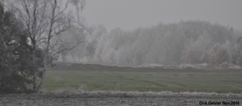 Wintervorbote